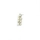 Perla in White Earrings
