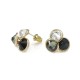 Bevy of Grays Jewel Studs